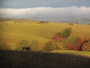 12119171_701706773297614_2878883834299410069_n