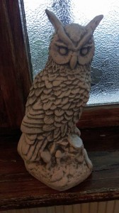 12631440_737849576350000_1576025034730612101_n